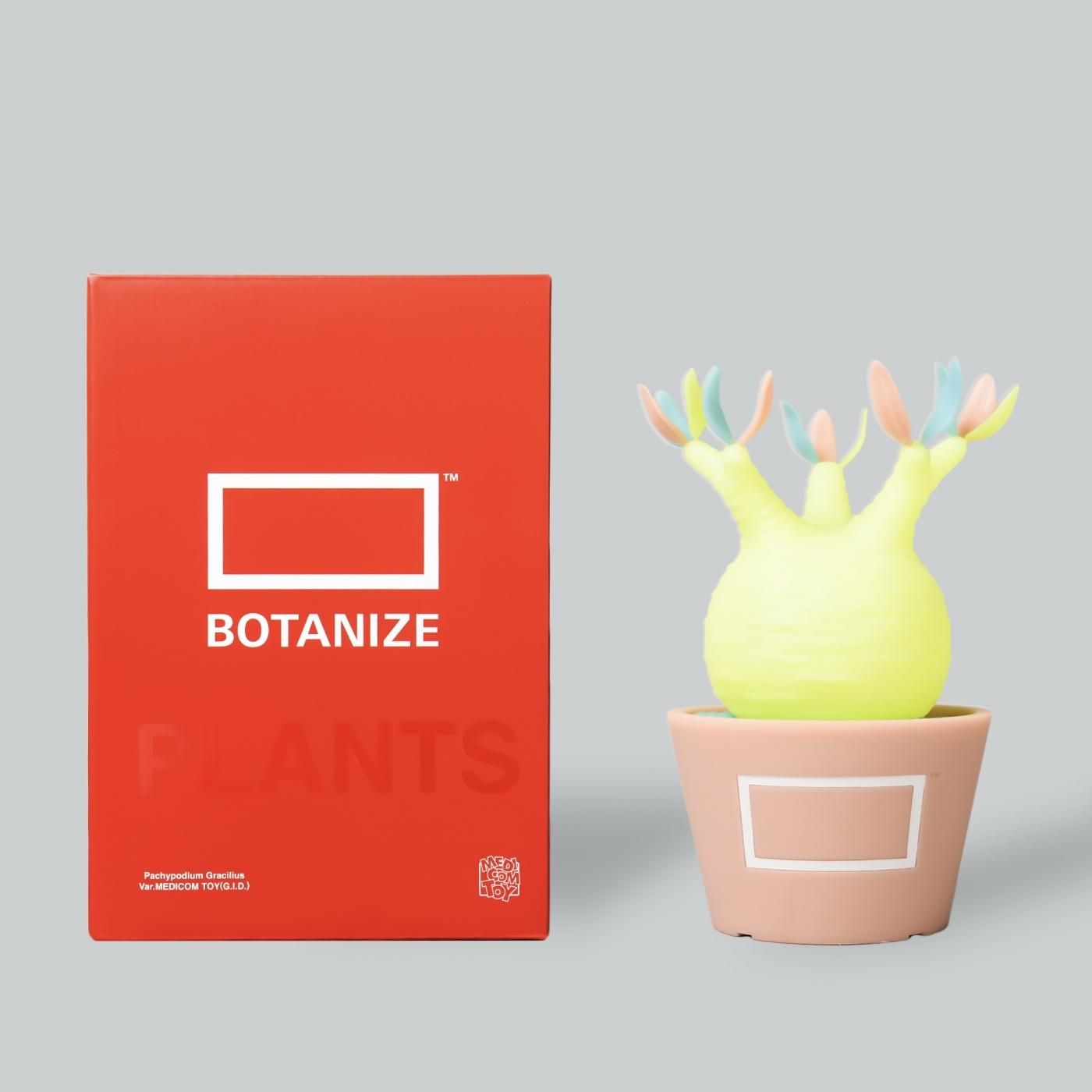 botanize medicom toy www.krzysztofbialy.com