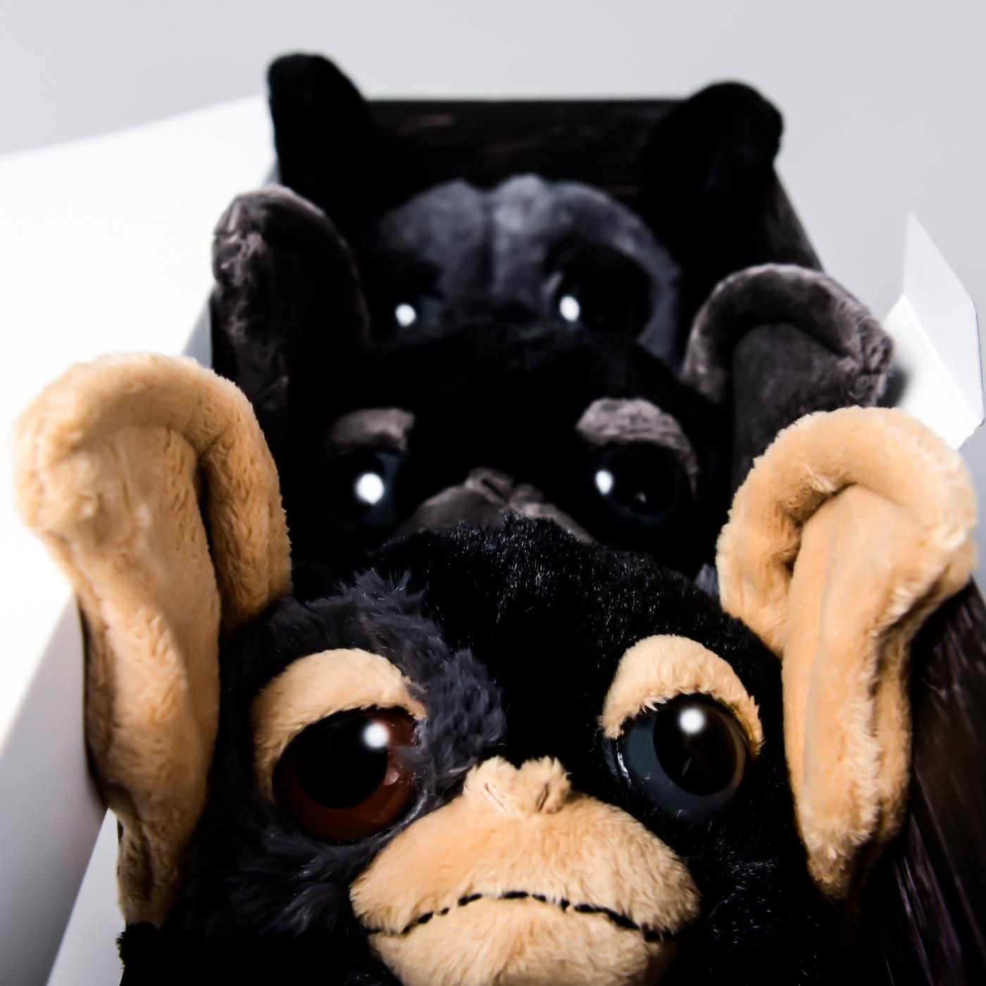 GREMLiNS × BOTANIZE 3dolls set-