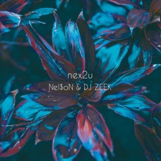 Nel$oN & DJ ZEEK / nex2u 