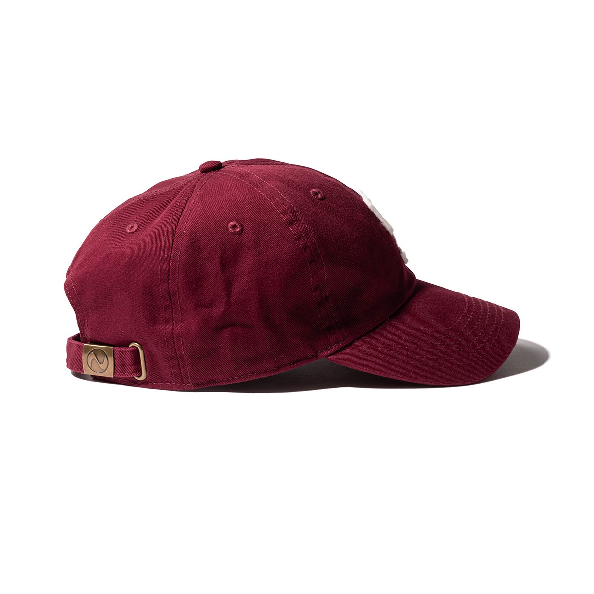 SHRED - S LOGO 6 PANEL CAP - SHRED