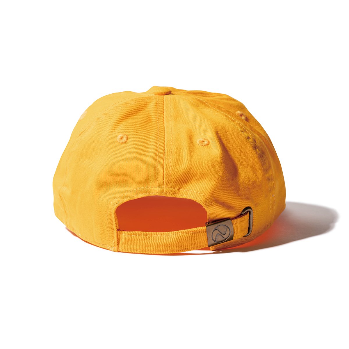 SHRED - S LOGO 6 PANEL CAP - SHRED