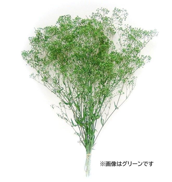 タケダ かすみ草・大束・エンジェルグリーン | ミニチュア造形用ドライ