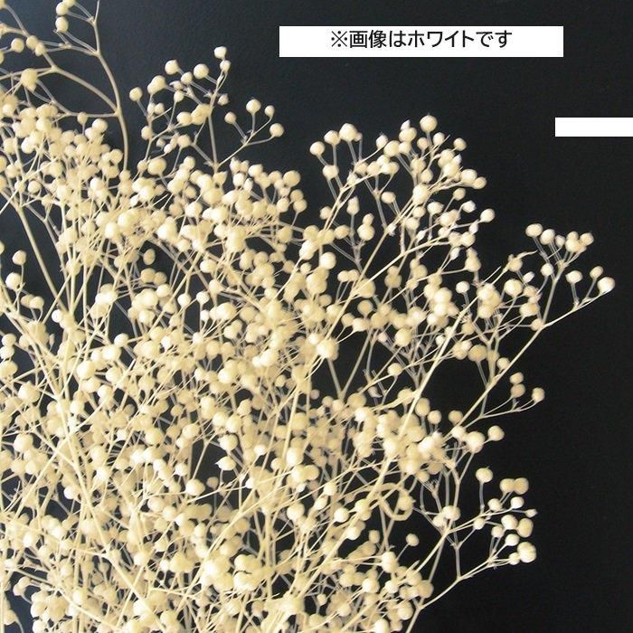 タケダ かすみ草・大束・エンジェルグリーン | ミニチュア造形用ドライ