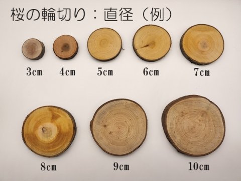 広葉樹の木の輪切り | 直径3cm 厚み1cm - 森からつくる木の生活道具　Junshin -潤森-