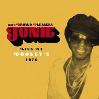 BLUES★ 輸入盤・ブルースアルバム・CD 43枚セット ★送料込み BLUES☆ 輸入盤・ブルースアルバム・CD 43枚セット ☆送料込み