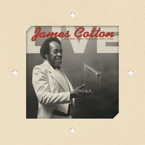 【爆売り！】 ANTONE'S AT COTTON/LIVE JAMES NIGHTCLUB JUKE/CD WALTER'S | ギター