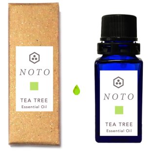 NOTO ティーツリー精油 TEA TREE OIL（10ml）アロマオイル