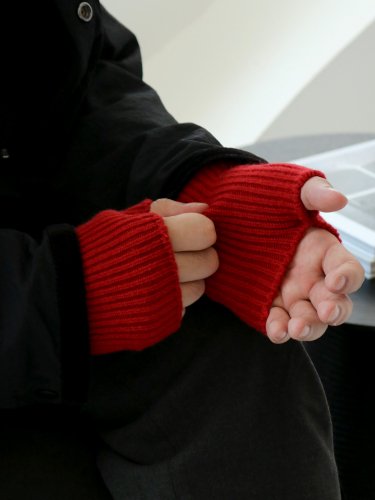 NORMA  Gloves<br />/ Wool  FREE