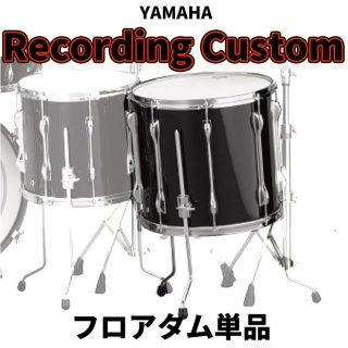 Recording Custom - シライミュージック