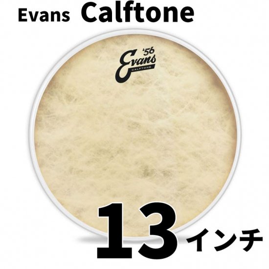 EVANS(エバンス) カーフトーン 13インチ タム・スネアドラム打面用