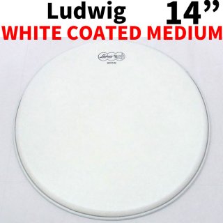 Ludwig ( ǥå ) ɥإåɡۥ磻ȥƥå ߥǥ 14 LW3314 