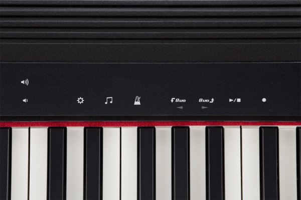 Roland (ローランド) キーボード (61鍵) GO:PIANO GO-61P【専用キャリングケースセット】【はじめての鍵盤ワークショップ動画プレゼント】  - シライミュージック