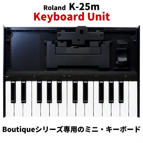 Roland (ローランド) Boutiqueシリーズ専用のミニ・キーボード