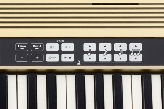 Roland (ローランド) ハーモニー&リズム練習用キーボード JUSTY HK-100