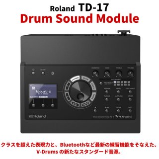 Roland () ɥॵɥ⥸塼 Drum Sound Module TD-17