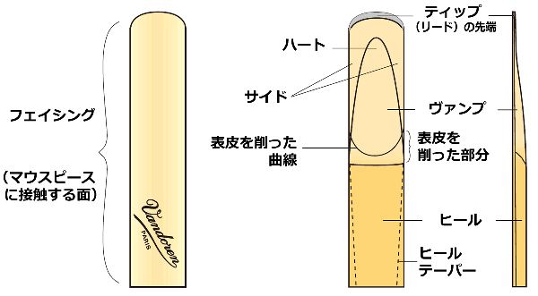 Vandoren(バンドレン) E♭クラリネット用リード トラディショナル（10枚入）【強度をお選びください】 - シライミュージック