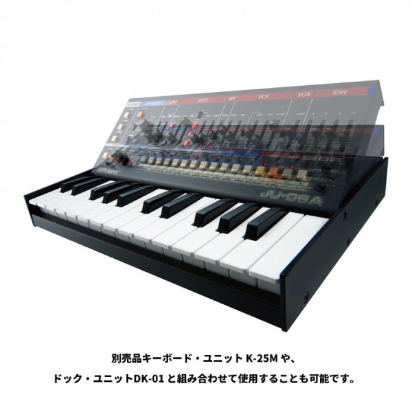 Roland (ローランド) Boutique シリーズ サウンドモジュール JU-06A □□ - シライミュージック