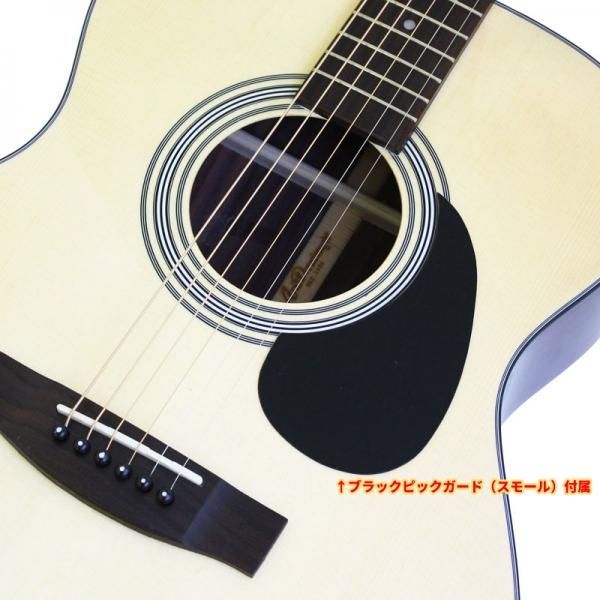 入門セット付き】ARIA（アリア）アコースティックギター AD-211-TS