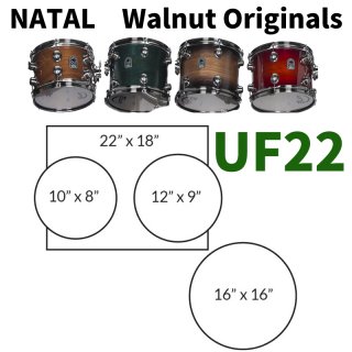 NATAL (ʥ) Walnut Originals꡼ ɥ७å UF22