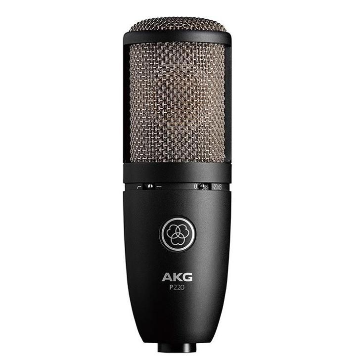 AKG (アーカーゲー) コンデンサーマイク P220 (サイドアドレス型 