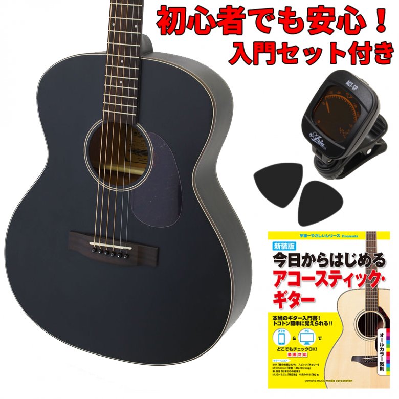 入門セット付き】ARIA（アリア）アコースティックギター Aria-101-MTBK