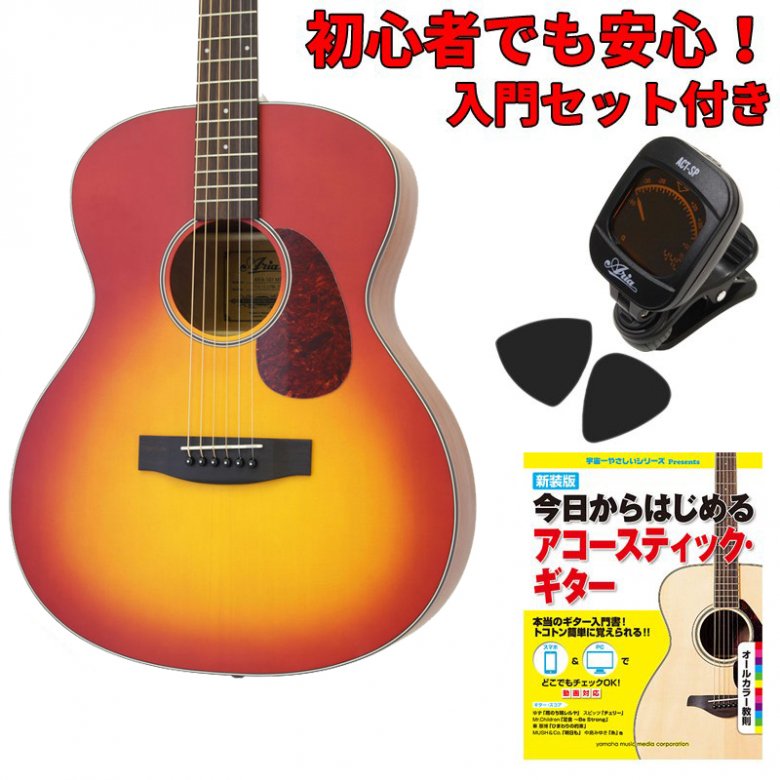 超安い品質 年末年始特価・アリア＜ＡＤＦ-250＞サンバースト アコースティックギター - raffles.mn