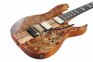 Ibanez (Хˡ) 쥭 RGT1220PB-ABS (Antique Brown Stained)ڥХå°ۢ