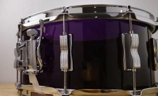 Ludwig ( ラディック ) - シライミュージック