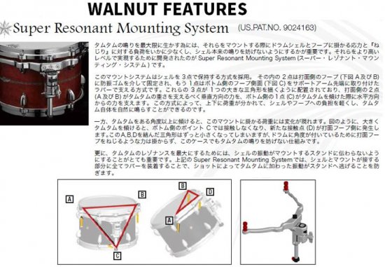 TAMA (タマ) スタードラム ウォルナット タムタム単品 8インチ【受注