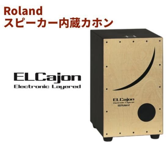 Roland ec-10カホン - 打楽器