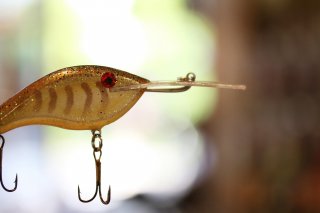 Norman Lures / Tennessee Killer TKD-1