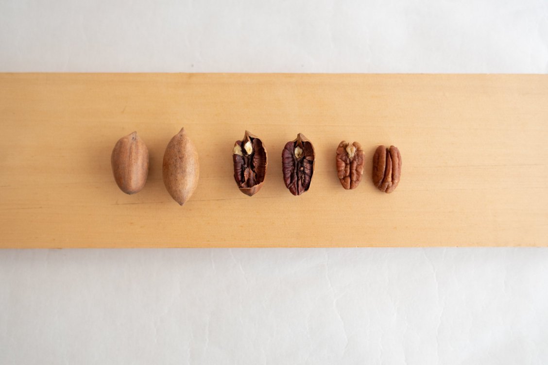 Arisonan Raw Pecan Nuts (JMH)