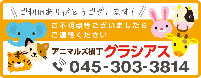 可愛い動物のレアグッズ多数！　アニマルズ横丁　グラシアス通販ショップ