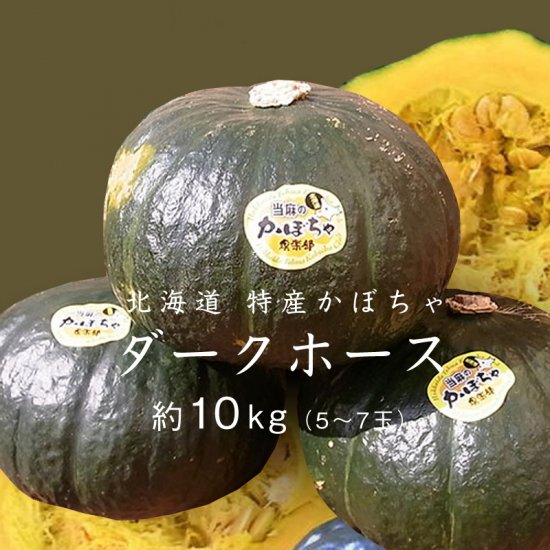 北海道 特産かぼちゃ「ダークホース」約10kg（4~7玉） - 北海道の新鮮