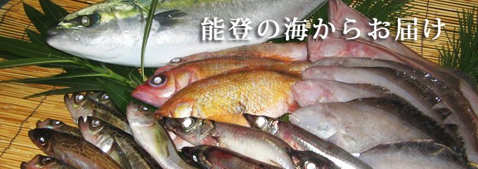 生鮮魚介