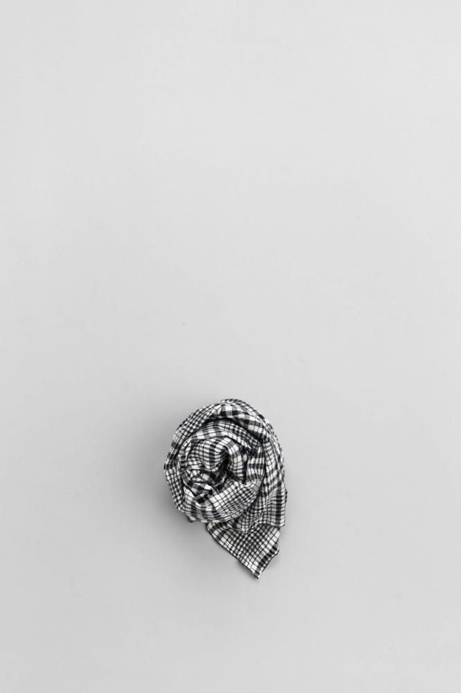 pritW/C CHECK STOLE [OFF]